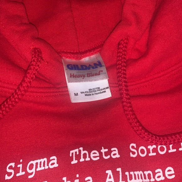 Red Delta Sigma Theta Sorority Alumnae Hoodie - Picture 4 of 5